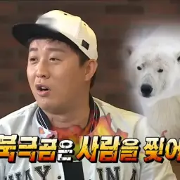 와루이지 핀볼(마리오)
