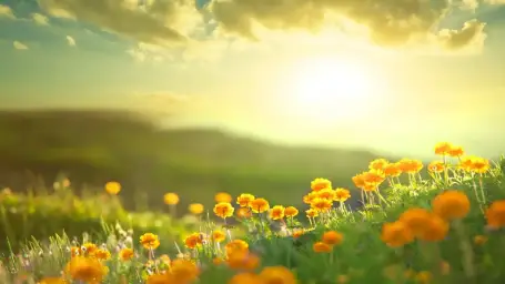 김광민 - Morning(평화,희망,잔잔,활기)