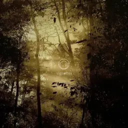 Qualia Part II (몽환, 신비, 잔잔, 순수)