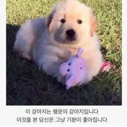ncs 음악 제목 모름