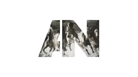 AWOLNATION - Run ( 글옵매드무비, 얼터너티브, 몽환, 웅장, 당당 )