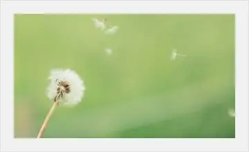 잔잔하고 아련한 피아노 미디 (애잔,따뜻,추억,잔잔,아련)
