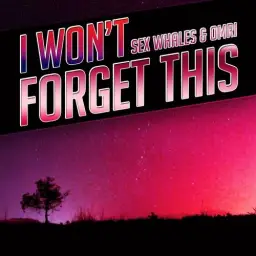 Sex Whales & Omri - I Won't Forget This (비트,장엄,비장,일렉)