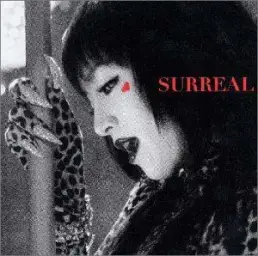 하마사키아유미-Surreal (J-POP) (신남)