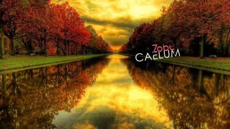 Tobu - Caelum (비트, 신남, 몽환, 활기, 아련, 흥겨움, 멜로딕, 프로그레시브 하우스)