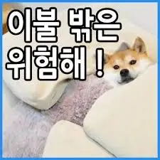 피아노가 들려주는 달달한 브금