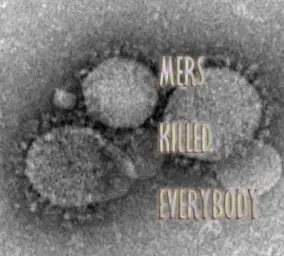 MERS KILLED EVERYBODY 자작곡