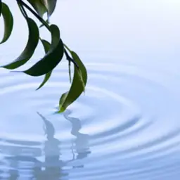 Christian Lindquist - A Little Peace Of Mind (잔잔, 피아노, 따뜻)