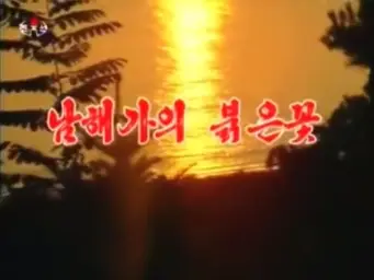 북한가곡 - 남해가의 붉은 꽃