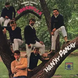 Tommy JAMES And The SHONDELLS - Hanky Panky(1966)