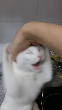 숨소리-브베브베브베브베브베브베브베브베브베업로드용