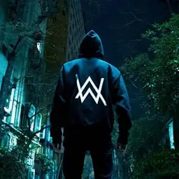 Alan Walker - Tired ft Gavin James (NCS Fanmade)
