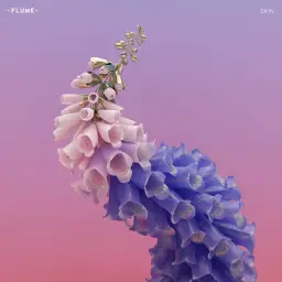 Flume - When Everything Was New [ 'Skin' Album ]
