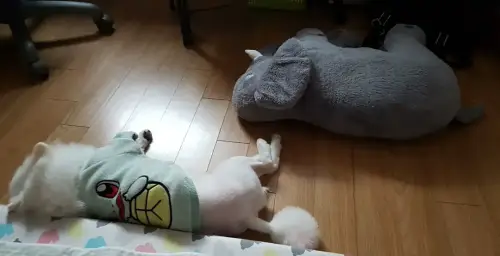금목걸이 - The World Under 7