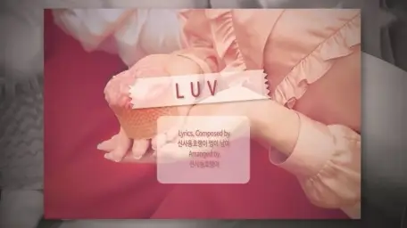 에이핑크 - LUV 하이라이트