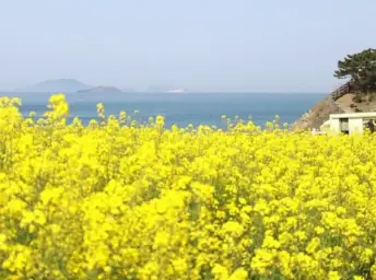 [자작곡] 봄의 환상곡 - 뮤스텔지아