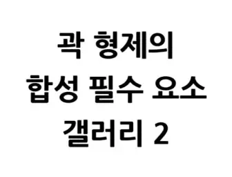 폭탄병의 곽 형제 (유머, 신남, 게임, OST, 리믹스)