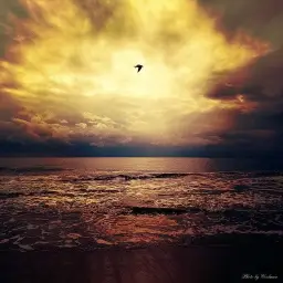 The Dream Of Summer T. U. O. S(달달 , 경쾌 , 즐거움 , 여유)