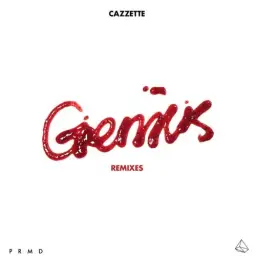 Cazzette - Genius (Prinston Remix) (Extended) (신남, 비트, 일렉, 신비, 리믹스)