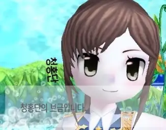 청홍단의 브금 메이플스토리 아케인리버 (재수정)