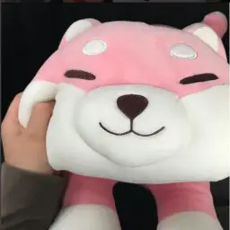 아프리카BJ 겁상실소녀 땐석기강의