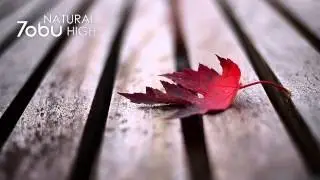 [유튜브 뒤지다 한번즈음 들어봤을법한 BGM] Tobu - Natural High (일렉트로니카 하우스) (신비 아름다움 고요함 힐링 희망 활기 잔잔 훈훈 동심 평화 감동)