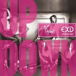 [리코더] EXID - 위아래 (Up & Down)