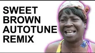 Sweet Brown - Ain't Nobody Got Time for That Autotune remix (신남,비트,격렬,클럽,흥함,리믹스)