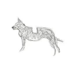 Basenji - Tribute To The Cat [비트, 나른, 흥함]