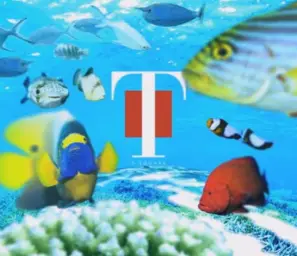 T-Square 宝島 (활기, 희망)