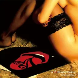 Acid Black Cherry - セーラー服と機関銃 (세라복과 기관총)(슬픔,애절,쓸쓸,우울,락,커버곡,J-Rock)