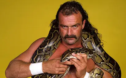 WWE 제이크 더 스네이크 로버츠 Jake The Snake Roberts 테마곡 (비트,잔잔,신비)
