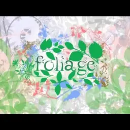 foliage[폴리아지]