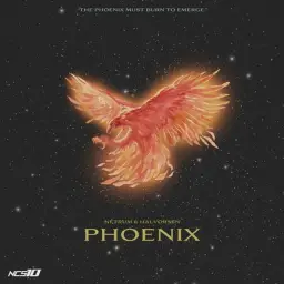 Netrum & Halvorsen - phoenix