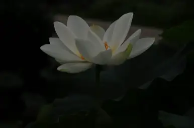 신형탁작곡 한밤의항해 활기 웅장 여유 훈훈 달달 행복 당당 경쾌 따뜻