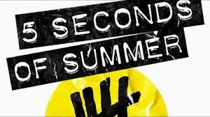 5 Seconds Of Summer - She Looks So Perfect(신남,즐거움,당당)
