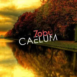7obu(Tobu) - [Caelum]
