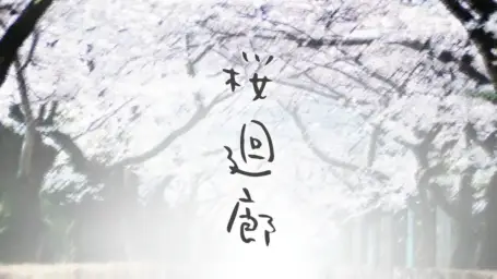 (감동,피아노) a_hisa - 桜廻廊 (벚꽃회랑)