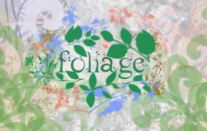 A hisa - Foliage (일상, 평화)