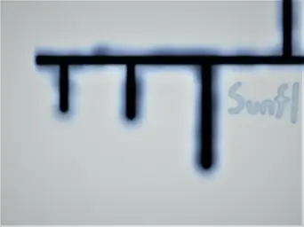 [자작곡] Sunfl - Snow flower (신남, 희망, 경쾌, 행복, 자작곡)