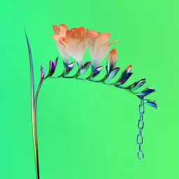 Flume - Quirk ['Skin Companion EP I' 앨범]
