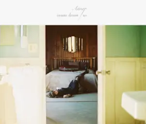 Aimer - insane dream