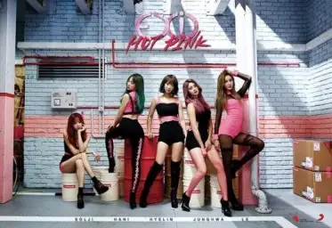 [라이브] EXID - HOT PINK