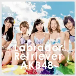 AKB48 - ラブラドール・レトリバー (평화, 동심, 순수, 일상, 발랄, 활기, 행복)
