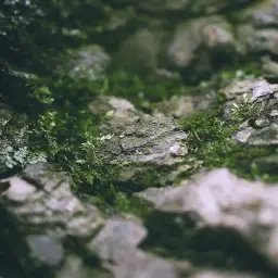 Watermark (고요, 순수, 잔잔, 여유, 신비, 따뜻, 정화, 추억)