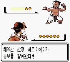 포켓몬스터 하트골드 소울실버 - 진청시티(리믹스)