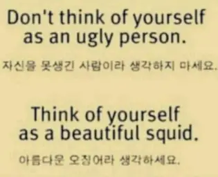광수 모기송 (영상나와여)