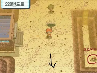포켓몬스터 다이아몬드 펄 플라티나(D P PT)-227.228.229번도로,230번수로(발랄 비트 경쾌)
