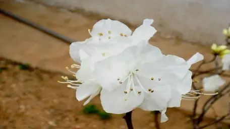 브금 찾아주세요!! 부탁드려요^^