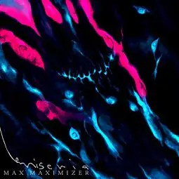 MAX MAXIMIZER - Miseria